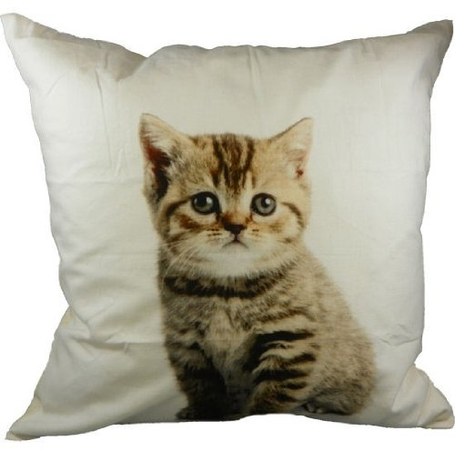 Mars & More - Kissen - Dekokissen - Sofakissen - Katze - Kätzchen - 100% Baumwolle - inkl. Füllung - 50 x 50 cm
