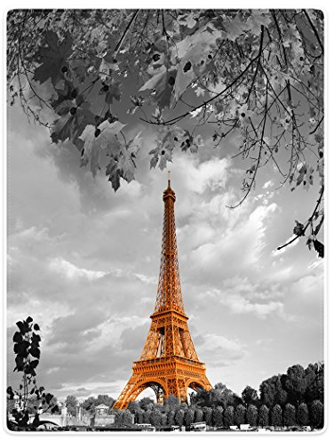 YISUMEI Decke 150x200 cm Kuscheldecken Sanft Flanell Weich Fleecedecke Bettüberwurf Eiffelturm Paris Design