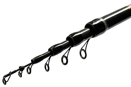 FANATIK Bologneserute Lexus Posenrute Angelrute Bolo 4m,5m, 6m Spinnrute Teleskoprute (4.00 m / 4-teilig)