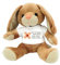 Kilala Kuscheltier Hase klein, Gute Besserung Plüschtier, mit Wunschname personalisierbar, Pflaster mit Marienkäfer, Geschenk für Erkrankte Freunde Familie