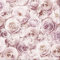 Floral Blush Pink Wallpaper - Contemporary Modern Flower Rose Petals Girl's Bedroom