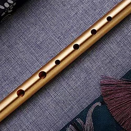 PETSTIBLE Flûte à 6 trous avec sifflet irlandais en métal C/D