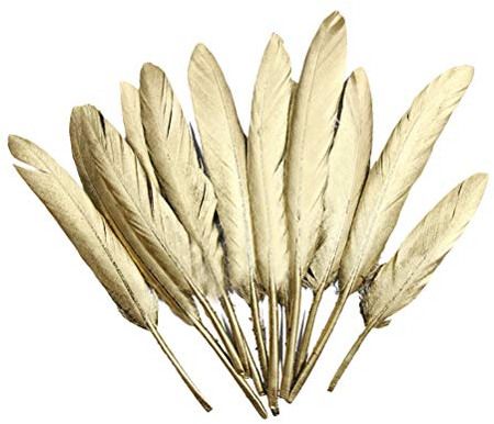 Supvox Goldene Federn Sch?ne Feder f¨¹r DIY Handwerk Mittelst¨¹cke Hochzeit Home Party Dekorationen 50 ST?CKE