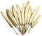 Supvox Goldene Federn Sch?ne Feder f¨¹r DIY Handwerk Mittelst¨¹cke Hochzeit Home Party Dekorationen 50 ST?CKE