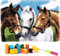 EMISTEM Latch Hook Kits for Adults - DIY Latch Hook Rug Kits for Kids, Crochet Kit for Beginners, Rug Making Kits with Printed Canvas, Gift Packaging. (Three Horses,15x21)