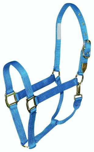 Hamilton Pferdehalfter, 2,5 cm, Nylon, mit Druckknopf am Hals