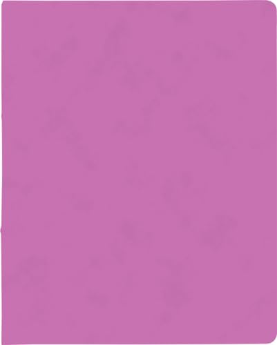 10X BRUNNEN Ringbuch A4 FACT!plus 2R 15mm pink