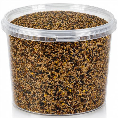 Premium Canary Mixture Food 3L Tub