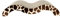 Catlove 34905 Kratzbrett Giraffe, aus Pappe mit Katzenminze, 45 x 22 x 9cm