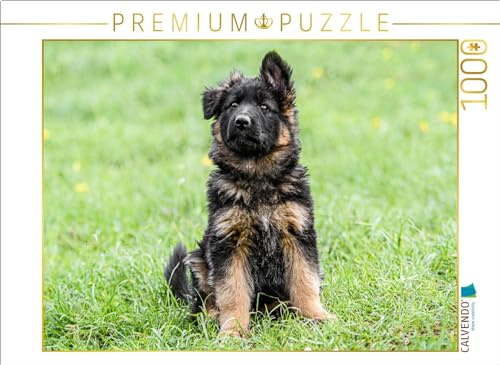 CALVENDO Puzzle Schäferhund - Welpe Hündin | 1000 Teile Lege-Größe 64 x 48 cm Foto-Puzzle für glückliche Stunden