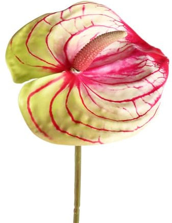 Flores de lirio artificiales de anthurium, plantas artificiales de seda, ramo de decoración del hogar y hojas verdes para bodas, festivales, fiestas (rosa verde)