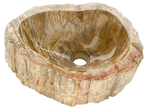 Aufsatz - Waschbecken versteinertes Holz Waschschale Handwaschbecken Fossil bis 50 cm innen poliert außen naturbelassen