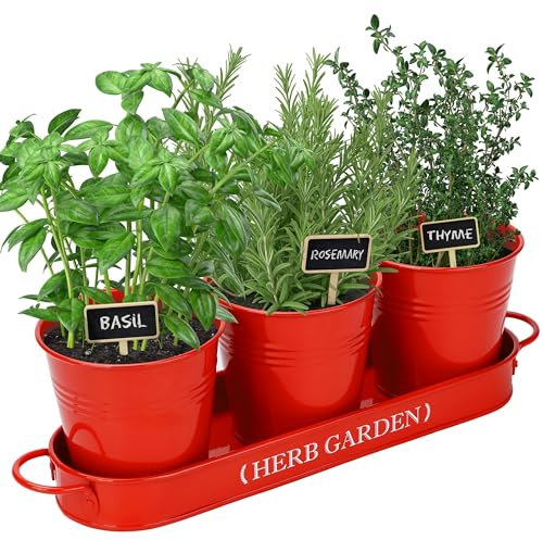 PERFNIQUE Jardinière d'herbes aromatiques d'intérieur pour intérieur/extérieur, Pots de Fleurs de Ferme, Jardin d'herbes aromatiques avec Plateau (Pot de Fleurs Uniquement)