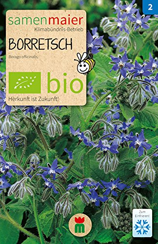 Samen Maier 830 Borretsch (Bio-Lauchsamen)
