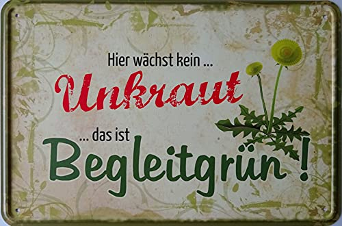 vielesguenstig-2013 Blechschild 20x30cm - Hier wächst kein Unkraut das ist begleitgrün Garten Kleingarten Gärtner Vintage