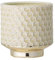 Nordring Pot de Fleur Goldy - Pots de Fleurs décoratifs Couleur pour intérieur Style rétro créatif M (12,5 cm ø), Vert Clair, Céramique