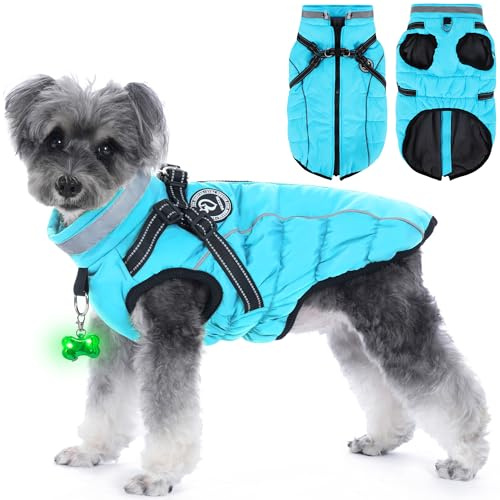 HezzLuv Hundemantel Winter, Hundemantel Wasserdicht, Warme Hundejacke mit Geschirr, Reflektierende Streifen, LED-Leuchtkragen, Winterjacken & Wintermäntel für Kleine, Mittelgroße Hunde