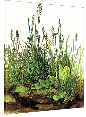 Bilderdepot24 Bild auf Leinwand | Albrecht Dürer Das große Rasenstück in 40x50 cm als Wandbild | Wand-deko Dekoration Wohnung alte Meister | NEU-180200-40x50-gr