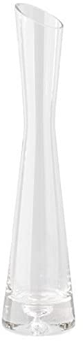 Clear Small Glass Vase Tapered Thin Waist Heavy Base Vases Slant-cut Bottle Mouth Single Stem Vase for Home Office Coffee Shop Decoration