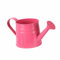 Milageto Mini annaffiatoio in Metallo Fioriera da 9,6x4,5 Pollici Contenitore per Fiori Decorativo Multiuso Secchio da Giardino per Gli Amanti delle Piante, Rosa Rossa