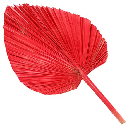 Holibanna Getrocknete Palmblätter Für Hochzeitsdeko Blumenarrangements Party-Dekoration Warme Romantische Atmosphäre Pflegeleichtes Blatt