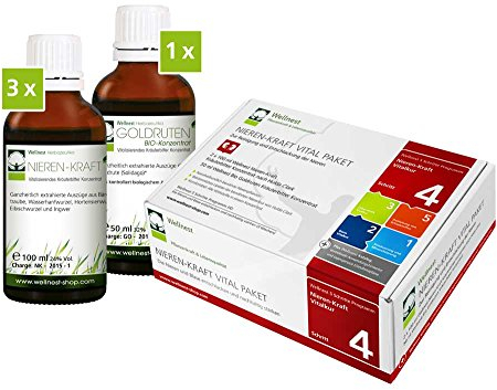 Wellnest Nieren-Kraft Detox-Kur-Paket (Entgiftungs-Kurpaket für 30 Tage Nierenreinigung nach Hulda Clark) - 100% pflanzlich - einfache Handhabung inkl. Magazin