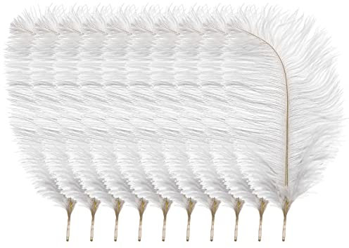 10 x Arts Crafts Plumes autruches Fluffy 25,4 - 30,5 cm Long