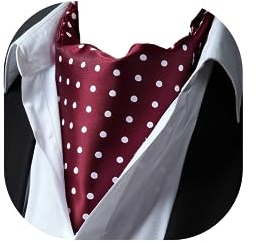 HISDERN Krawattenschal Rot Herren Hochzeit Ascot Krawatte Gepunktete Elegant Business Halstuch