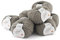 ggh Norvika Box - Schurwolle MIschung - 8x50g Knäuel (insgesamt 400g) - Wolle zum Stricken oder Häkeln Farbe 003 - Beigegrau