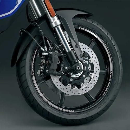 labelbike - Adesivi Strisce Moto Cerchi Ruote 19-17 Kit Protezioni compatibili con Suzuki V-Strom 800SE