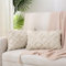 TOCOMOA Boho Kissenbezug 30x50 2er Set - Polyester Dekorative Sofakissen Dekokissen Kissenbezüge Beige, Weich Plüsch Kissenhülle 30x50cm Zierkissenbezug für Sofa Schlafzimmer Wohnzimmer