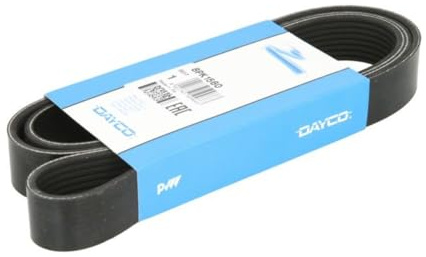 Dayco 8PK1560 Keilrippenriemen