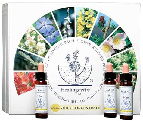Ensemble de fleurs de Bach avec 38 fleurs + 2 remèdes de secours 10 ml