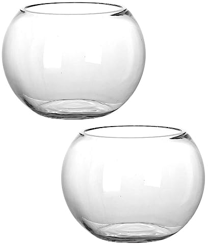 DOITOOL Lot de 2 vases en verre à bulles, vasques à poissons, vase à fleurs, centre de table, bougeoirs, terrarium pour mariage, maison, bureau