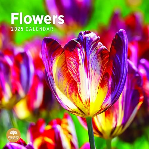 Bright Day Monats-Wandkalender 2025, Blumen, 30,5 x 30,5 cm, Naturgarten schön