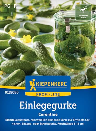 Kiepenkerl Einlegegurkensamen Corentine 1029080, Gemüsesaat | Bitterfreie, Cornichons, für eingelegte Gurken, Wuchshöhe ca. 30-120 cm