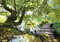Fototapete Baum Wald Landschaft See Wohnzimmer Schlafzimmer Wandtapete Vlies Tapete Latexdruck UV-Beständig Geruchsfrei Hohe Auflösung Montagefertig (11235, V8 (368x254 cm) 4 Bahnen)