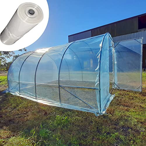 Serre Tunnel 3 x 8 m avec toile PVC 150 MC Made in Italy avec porte frontale potager jardin plantes vivant Serres botaniques