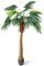 Deco Woerner Areca Palme Kunstpalme Tropische Palme Deko-Palme Kunstpflanze grün 180 cm