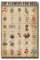 TSEZLOJH Schilder Blumen Poster Top Blumen für Bienen Poster 20,3 x 30,5 cm Blechgemälde