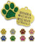 ibera gifts - Chapa Perro Grabada en Forma de Pata para Perros y Gatos Pequeños a Medianos, Placa Perro Personalizada, Metal Dorado con Purpurina, Tamaño 30 x 30 mm (Verde)