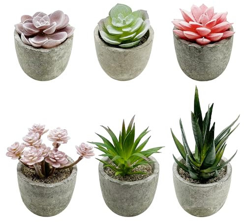 Cayway 6 PCS Artificial Succulents Plants, Mini Fake Plants in Pots, Small Succulents Plants Artificial for Office Desk Home Living Room Table Decor Indoor