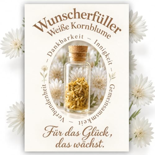 Little Plants Wunscherfüller - Echte weiße Kornblumensamen | Originelle Geschenkidee zur Hochzeit, Symbol für Liebe und Zusammenhalt, Gemeinsames Pflanzen, Bleibende Erinnerung