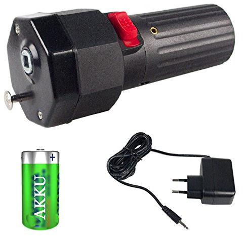 rukauf motore per Sesam Spiess cacciavite con caricabatteria e batteria – Motore per spiedo Grill motore trazione rosticceria