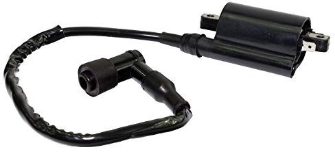 Zündspule komplett 20811 für Yamaha MT-03 SZR 660 TDM 850 TDM 900 TT 600 XT 660 XT660 XTZ 660 XV 125 XV 250 XVS 125 XVS 250
