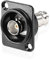 XMSJSIY D-Typ Doppel BNC Stecker Stecker Chassis Panel Mount Adapter Vergoldete SDI Video Koaxial Sockel BNC Koppler Chassis Stecker Stecker Buchse Buchse auf Buchse Panel Feed-Through Stecker