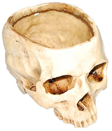 Naisicatar Récipient de Plante du crâne, Halloween Skull Head Planter Resin Flower Pot Plant Plant de Plante Skull Plant Multifinect