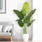 Keeplush Planta Artificial Ave del Paraíso 120 cm Planta Artificial Interior Alta con 9 Hojas, arbol Artificial Exterior Grande para Interior Casa salón Oficina dormitorios Jardín verandas (1Pack)