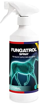 Equine America Antibacterial & Fungus Horse Spray 500ml