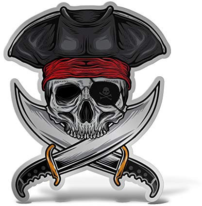Erreinge® Adesivo Argento 20 cm Teschio Pirata Sticker stampato per Auto Moto Parete Paraurti Computer Portatile Bagagli Biciclette
